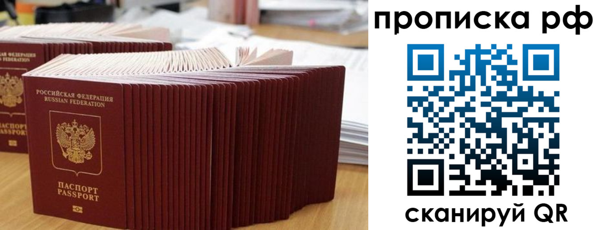 прописка поиск в Пензе